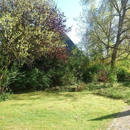 Sonniges Haeuschen Mit Garten Braunschweig Dış mekan fotoğraf